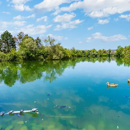 Your Place Arona Apartment