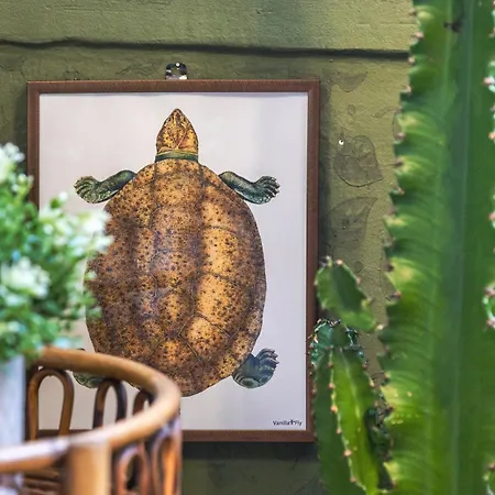 Your Place Arona 公寓 都灵