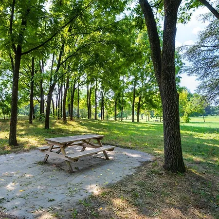 Your Place Arona Apartment Turin